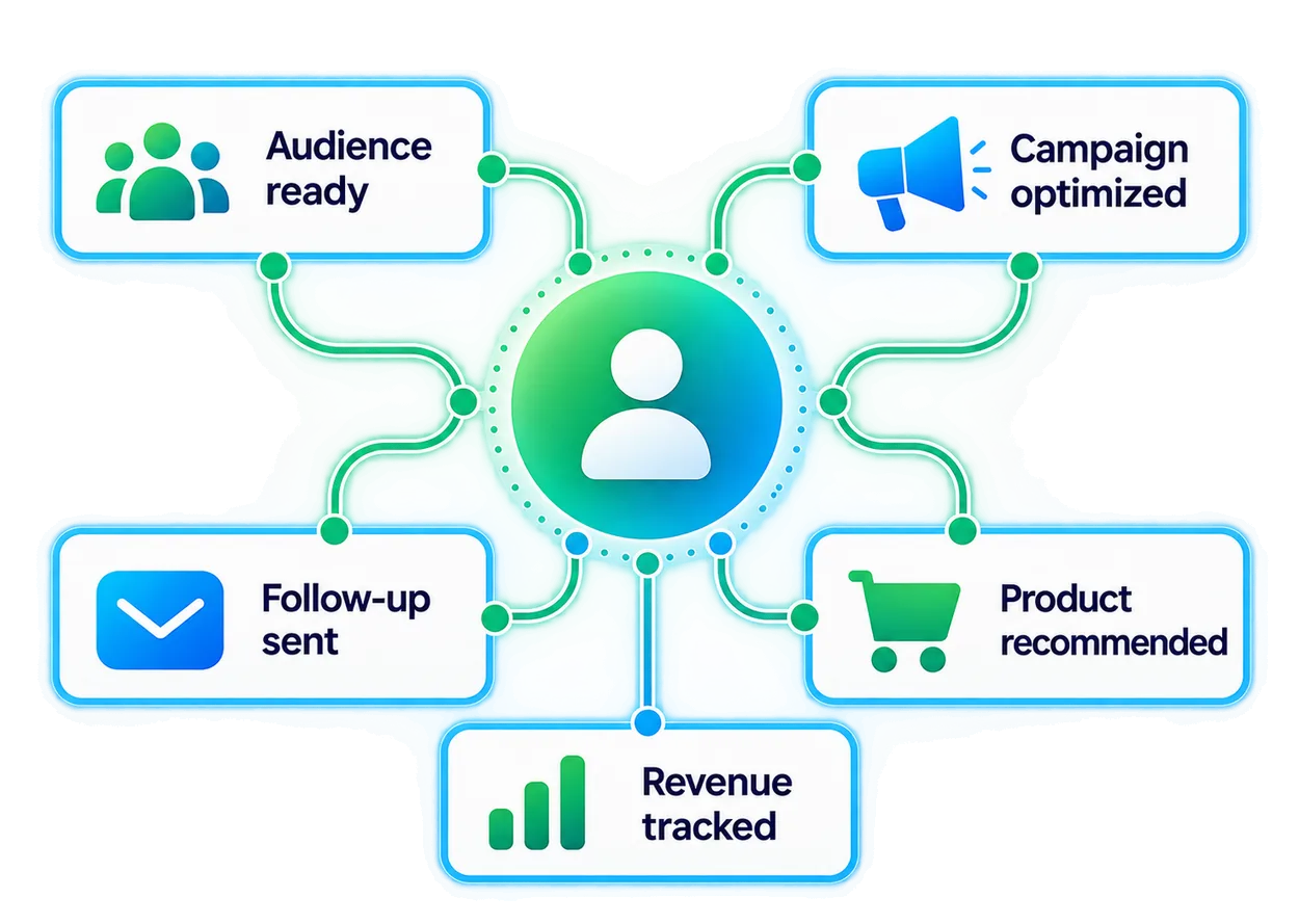 One customer at the centre: audience ready, campaign optimized, follow-up sent, product recommended, revenue tracked.
